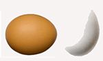 brown and part white egg 150x80